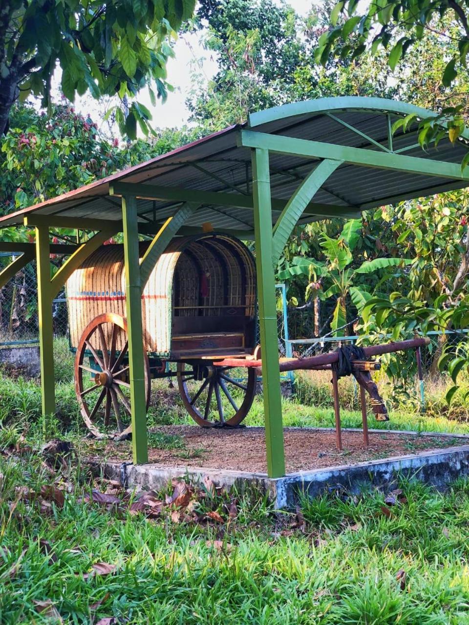 Traditional Villa Munnar Esterno foto